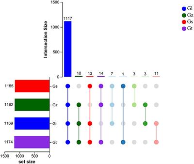 UPLC-ESI-MS/MS-based widely targeted metabolomics reveals differences in metabolite composition among four Ganoderma species